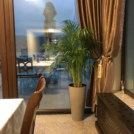 Pensiunea Alex & Restaurant