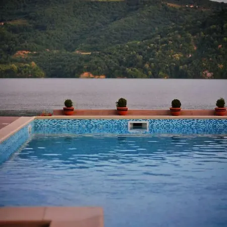 Pensiunea Alex & Restaurant Guest house
